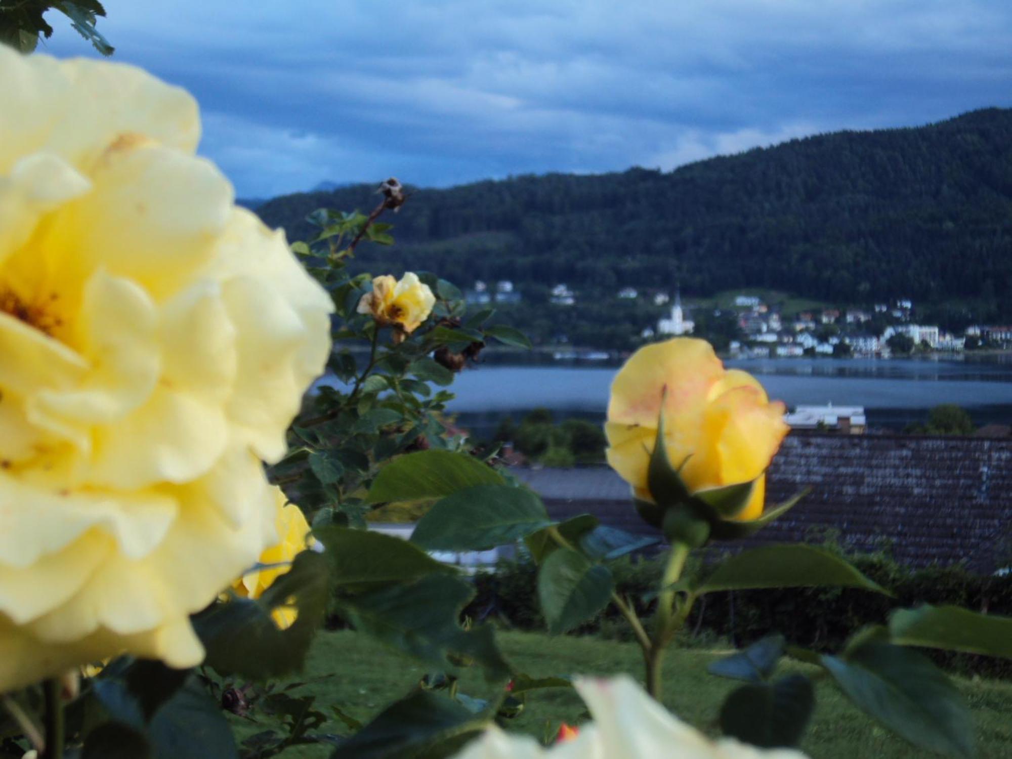 St. Oswalderhof Bed and Breakfast Pörtschach am Wörthersee Eksteriør billede