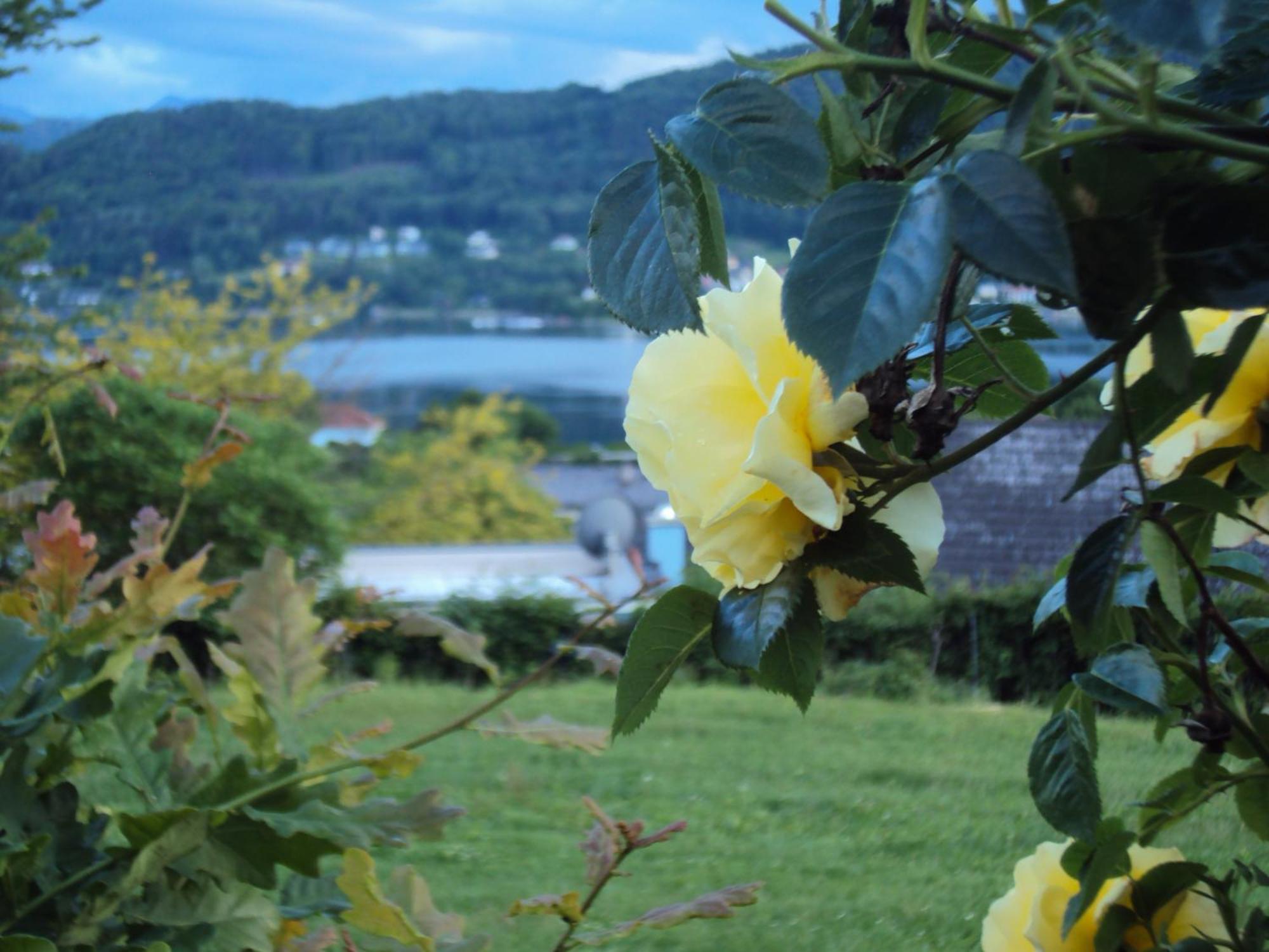 St. Oswalderhof Bed and Breakfast Pörtschach am Wörthersee Eksteriør billede
