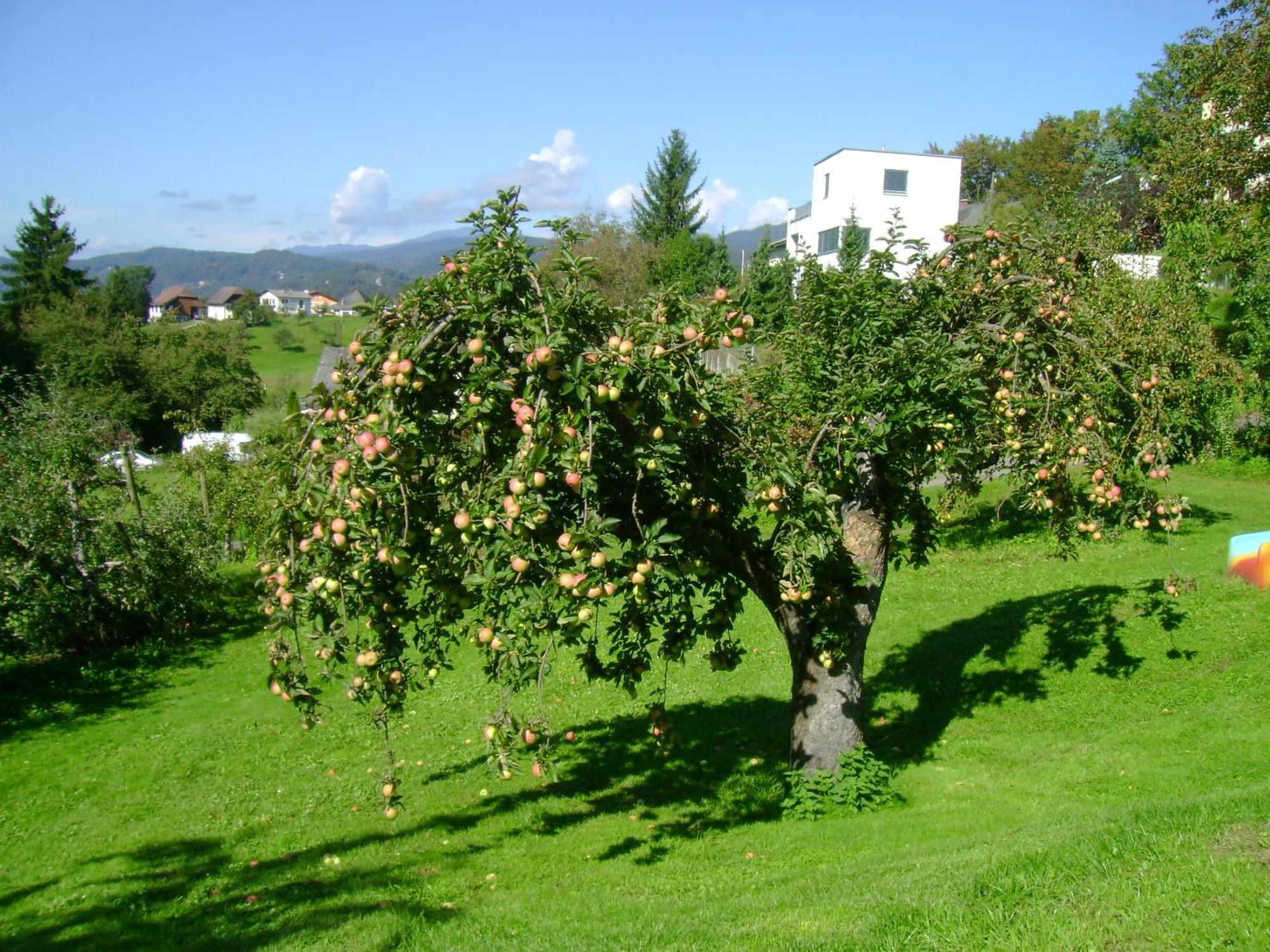 St. Oswalderhof Bed and Breakfast Pörtschach am Wörthersee Eksteriør billede