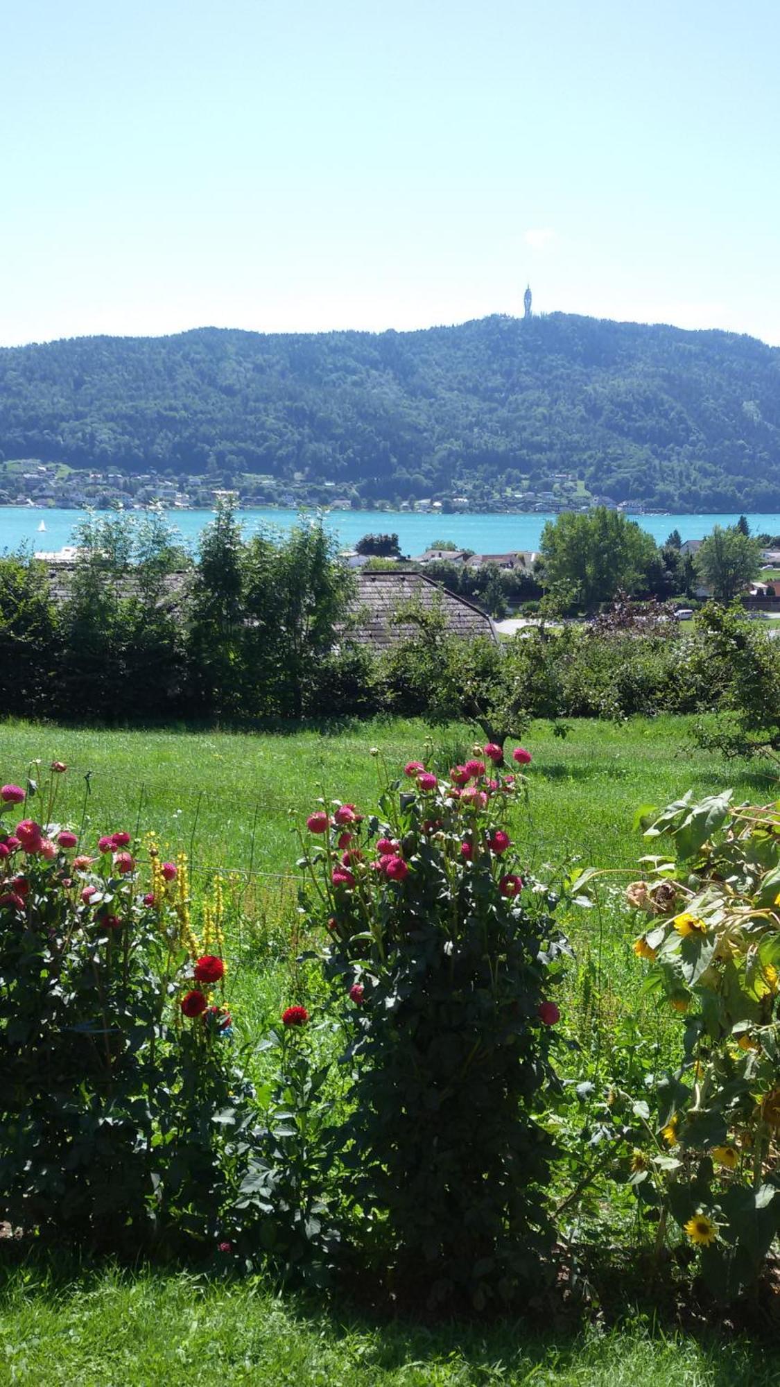 St. Oswalderhof Bed and Breakfast Pörtschach am Wörthersee Eksteriør billede