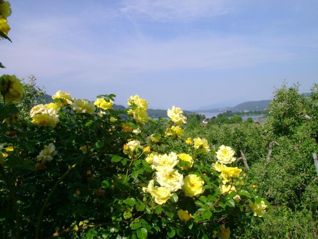 St. Oswalderhof Bed and Breakfast Pörtschach am Wörthersee Eksteriør billede